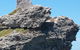 Rottnest Island Tour From Perth Or Fremantle Including Adventure Speed Boat Ride - thumb 7