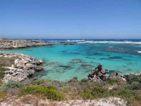 Rottnest Island Tour From Perth Or Fremantle Including Adventure Speed Boat Ride - Accommodation Kalgoorlie 3