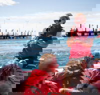 Rottnest Island Tour from Perth or Fremantle including Adventure Speed Boat Ride - Accommodation Kalgoorlie