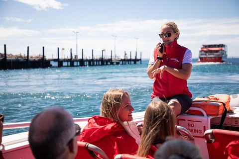 Rottnest Island Tour From Perth Or Fremantle Including Adventure Speed Boat Ride - Accommodation Kalgoorlie 0