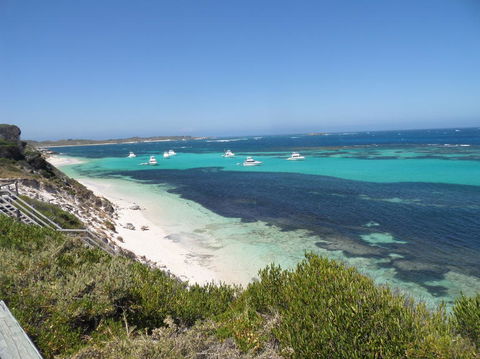 Rottnest Island Tour From Perth Or Fremantle Including Adventure Speed Boat Ride - Accommodation Kalgoorlie 2