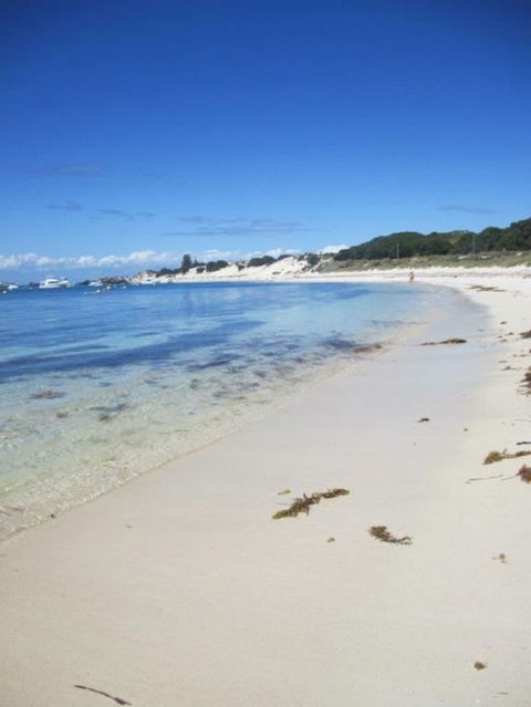 Rottnest Island Tour From Perth Or Fremantle Including Adventure Speed Boat Ride - Accommodation Kalgoorlie 4