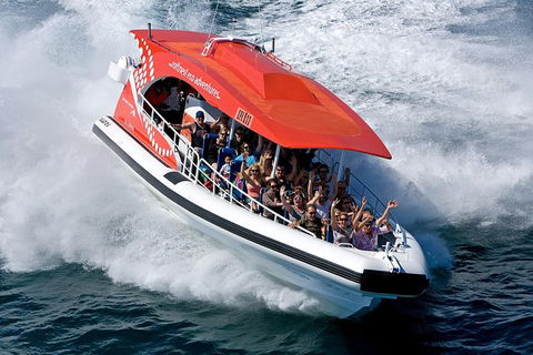 Rottnest Island Tour From Perth Or Fremantle Including Adventure Speed Boat Ride - Accommodation Kalgoorlie 11