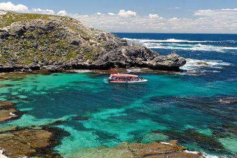 Rottnest Island Tour From Perth Or Fremantle Including Adventure Speed Boat Ride - Accommodation Kalgoorlie 10