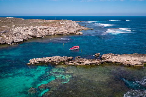 Rottnest Island Tour From Perth Or Fremantle Including Adventure Speed Boat Ride - Accommodation Kalgoorlie 13