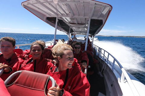 Rottnest Island Tour From Perth Or Fremantle Including Adventure Speed Boat Ride - Accommodation Kalgoorlie 8