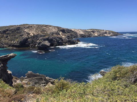 Rottnest Island Tour From Perth Or Fremantle Including Bus Tour - Accommodation Kalgoorlie 3