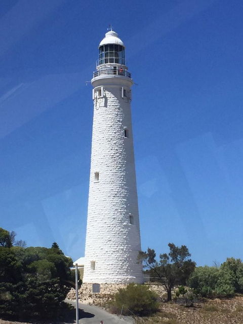 Rottnest Island Tour From Perth Or Fremantle Including Bus Tour - Accommodation Kalgoorlie 2