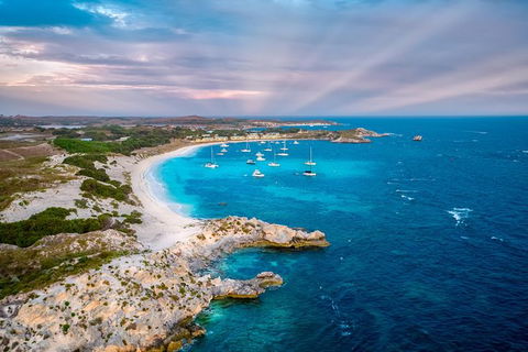 Rottnest Island Tour From Perth Or Fremantle Including Bus Tour - Accommodation Kalgoorlie 8