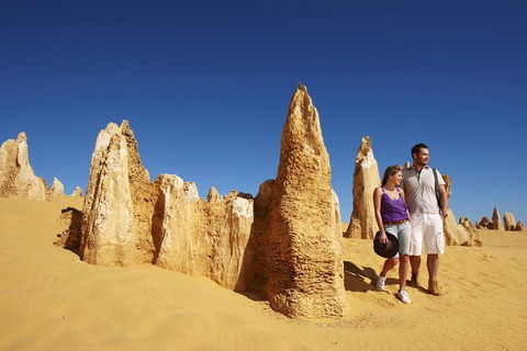 Pinnacles Day Trip From Perth Including Yanchep National Park - Accommodation Kalgoorlie 1