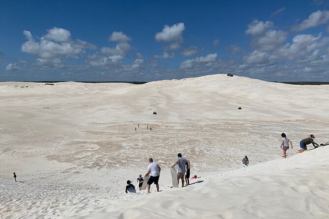 Pinnacles Day Trip From Perth Including Yanchep National Park - Accommodation Kalgoorlie 3