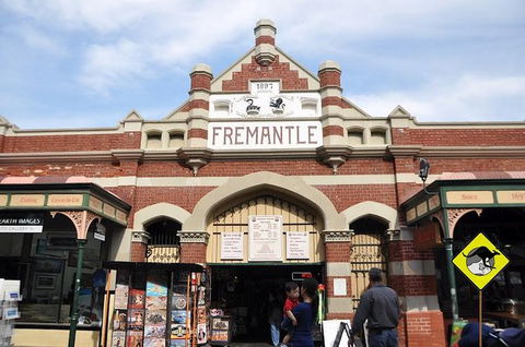 Full-Day Penguin Island & Fremantle Town - Accommodation Kalgoorlie 1