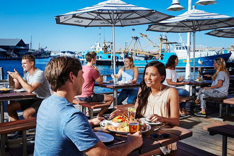 Full-Day Penguin Island & Fremantle Town - Accommodation Kalgoorlie 7