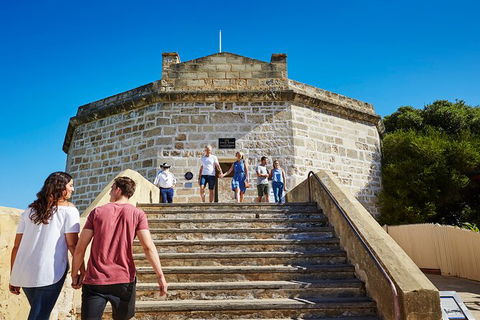 Full-Day Penguin Island & Fremantle Town - Accommodation Kalgoorlie 4