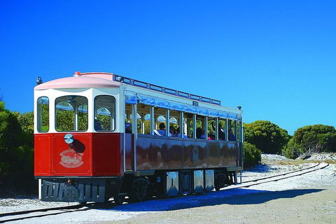 Rottnest Island Grand Tour Including Lunch And Historical Train Ride - Accommodation Kalgoorlie 6