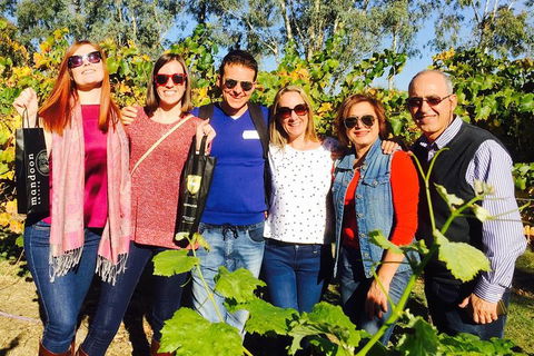 Swan Valley Tour From Perth: Wine, Beer And Chocolate Tastings - Accommodation Kalgoorlie 0