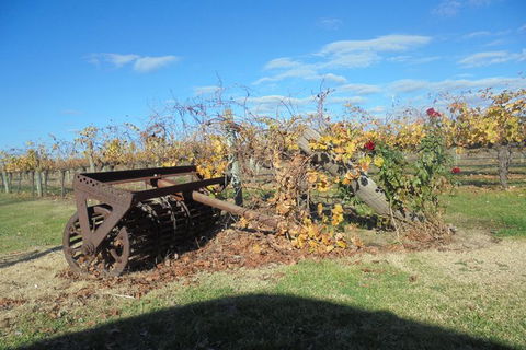 Swan Valley Tour From Perth: Wine, Beer And Chocolate Tastings - Accommodation Kalgoorlie 7