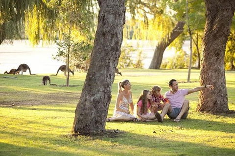 Pinnacles Sunset Dinner And Wildlife Experience A Small Group Tour - Accommodation Kalgoorlie 1