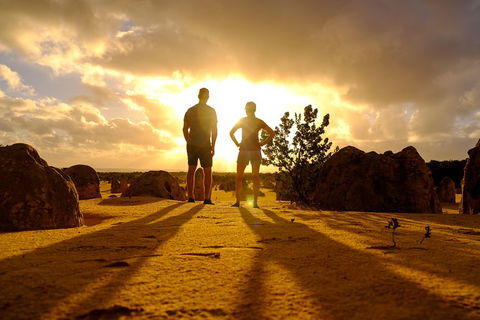 Pinnacles Sunset Dinner And Wildlife Experience A Small Group Tour - Accommodation Kalgoorlie 7