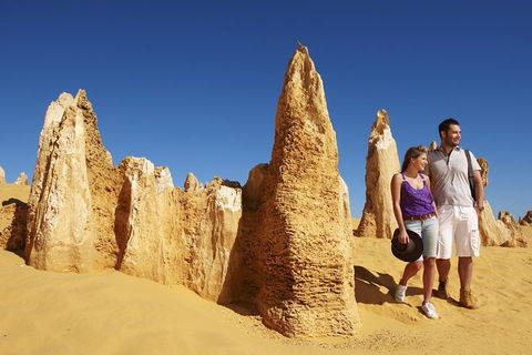 Pinnacles Sunset Dinner And Wildlife Experience A Small Group Tour - Accommodation Kalgoorlie 5