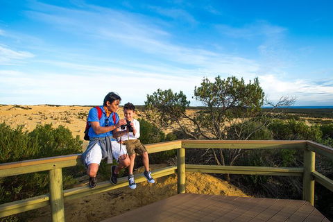Pinnacles Sunset Dinner And Wildlife Experience A Small Group Tour - Accommodation Kalgoorlie 4