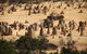 Pinnacles Sunset Dinner And Wildlife Experience A Small Group Tour - thumb 9