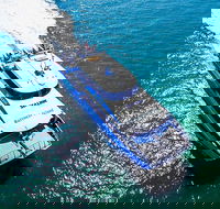 Rottnest Island Roundtrip Ferry from Perth with Transfer - Accommodation Kalgoorlie