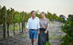 Half-Day Swan Valley Walk & Fruit Orchard - thumb 9