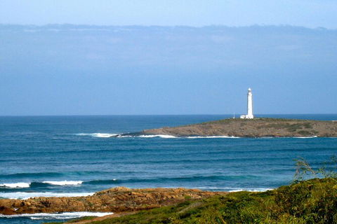 Margaret River Wineries, Caves, Ocean And Karri - Air & Ground Tour - Accommodation Kalgoorlie 5