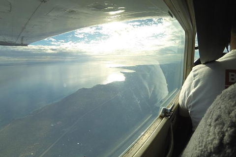 Monkey Mia Dolphins & Shark Bay Air Tour From Perth - Accommodation Kalgoorlie 7