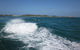 Swim With Dolphins Day Trip From Perth - thumb 4