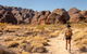 Bungles Day Trek - thumb 1