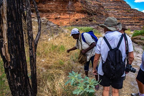Bungles Day Trek - Accommodation Kalgoorlie 3