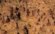 Bungles Day Trek - thumb 7