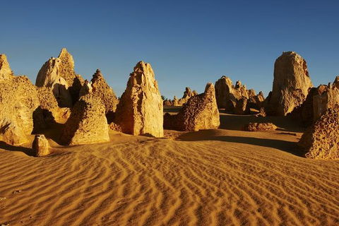 Full Day Pinnacle Desert Explorer From Perth Including Hillarys And Lancelin Sandboarding - Accommodation Kalgoorlie 1