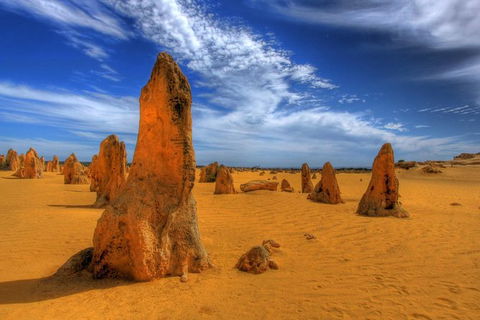 Full Day Pinnacle Desert Explorer From Perth Including Hillarys And Lancelin Sandboarding - Accommodation Kalgoorlie 5
