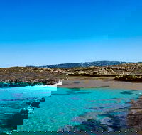 Rottnest Island Roundtrip Fast Ferry from Hillarys Boat Harbour - Accommodation Kalgoorlie