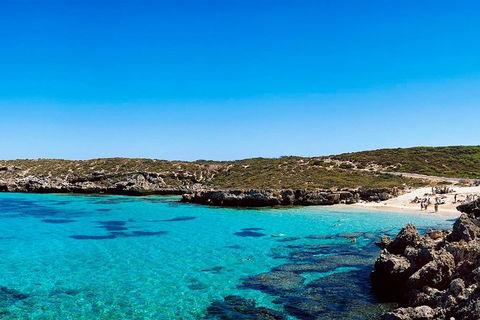 Rottnest Island Roundtrip Fast Ferry From Hillarys Boat Harbour - Accommodation Kalgoorlie 0