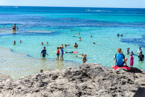 Rottnest Island Roundtrip Fast Ferry From Hillarys Boat Harbour - Accommodation Kalgoorlie 4