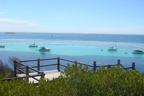 Rottnest Bayseeker Bus Tour From Hillarys Boat Harbour - Accommodation Kalgoorlie 3