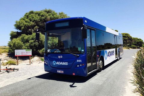 Rottnest Bayseeker Bus Tour From Hillarys Boat Harbour - Accommodation Kalgoorlie 2