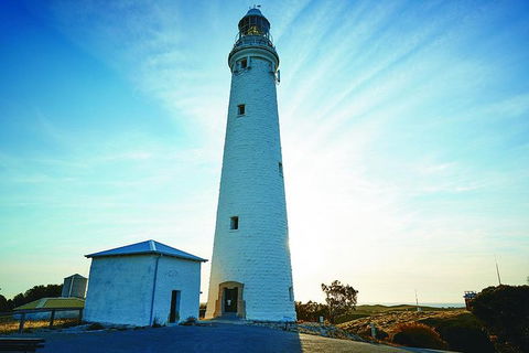 Rottnest Bayseeker Bus Tour From Hillarys Boat Harbour - Accommodation Kalgoorlie 4