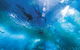 Snorkel With Sharks At AQWA - thumb 8