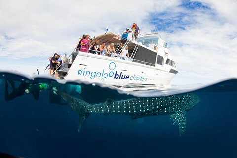 VIP Luxury Chartered Escapes, Exploring The Reef At Your Own Pace - Accommodation Kalgoorlie 0
