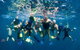 VIP Luxury Chartered Escapes, Exploring The Reef At Your Own Pace - thumb 1