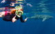 VIP Luxury Chartered Escapes, Exploring The Reef At Your Own Pace - thumb 20