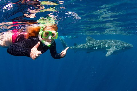 VIP Luxury Chartered Escapes, Exploring The Reef At Your Own Pace - Accommodation Kalgoorlie 20