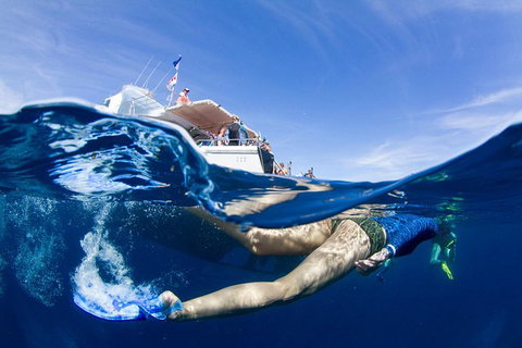 VIP Luxury Chartered Escapes, Exploring The Reef At Your Own Pace - Accommodation Kalgoorlie 40
