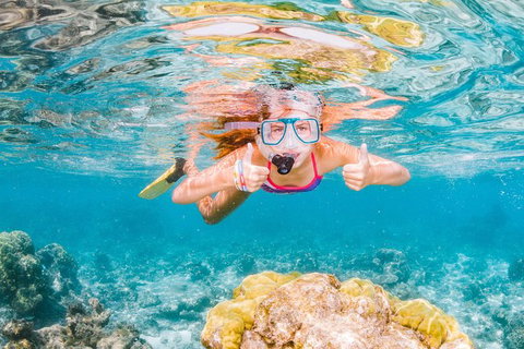 VIP Luxury Chartered Escapes, Exploring The Reef At Your Own Pace - Accommodation Kalgoorlie 48