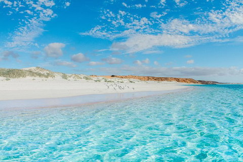 VIP Luxury Chartered Escapes, Exploring The Reef At Your Own Pace - Accommodation Kalgoorlie 36